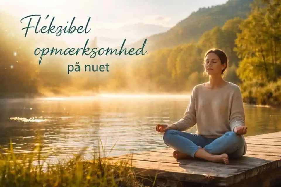 Fleksibel opmærksomhed på nuet
